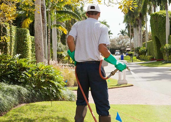 About Floydada TX Pest Control